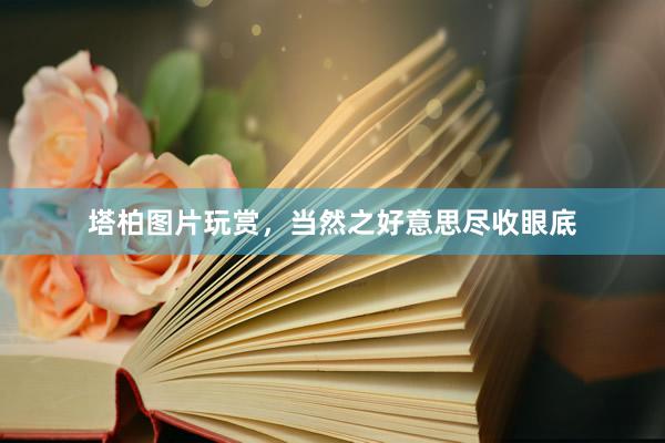 塔柏图片玩赏，当然之好意思尽收眼底